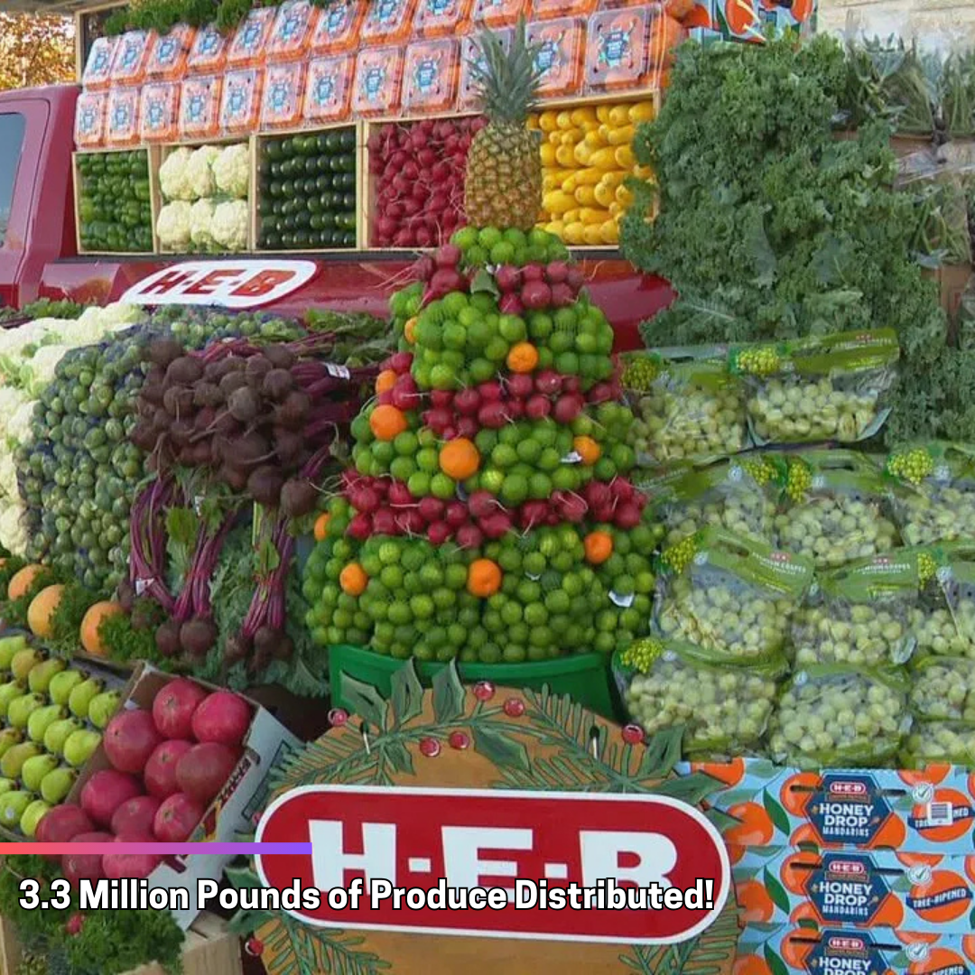 San Antonio Food Bank's Bountiful Harvest: 3.3 Million Pounds of Produce Distributed!