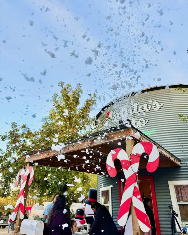 🎄 South Texas’ Very Own Christmas Wonderland! 🎄